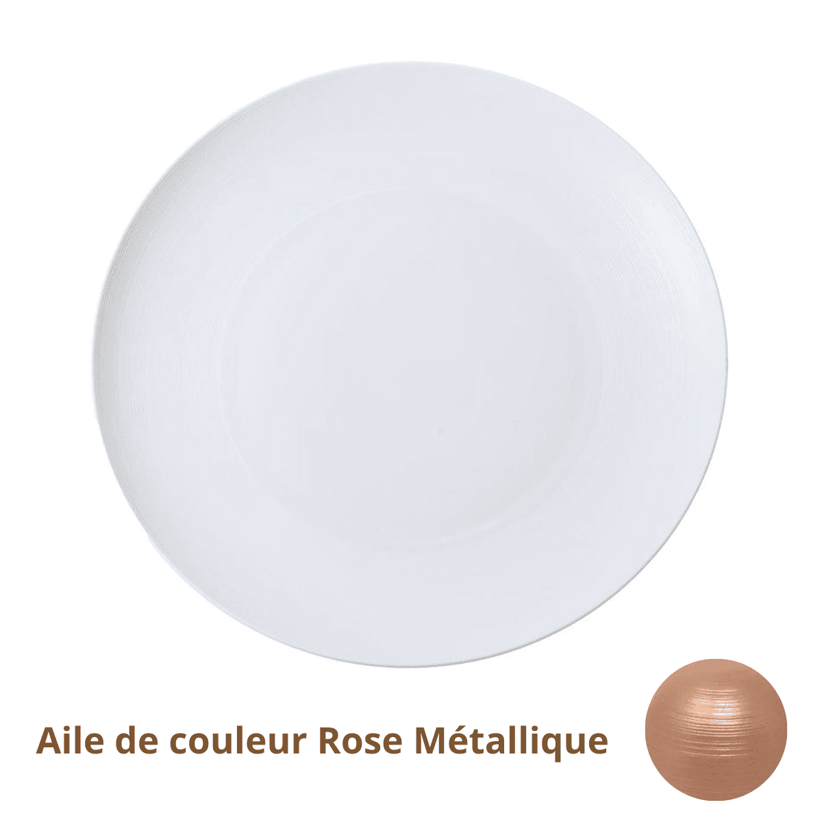 Plat rond plat maxi — Rose Métallique