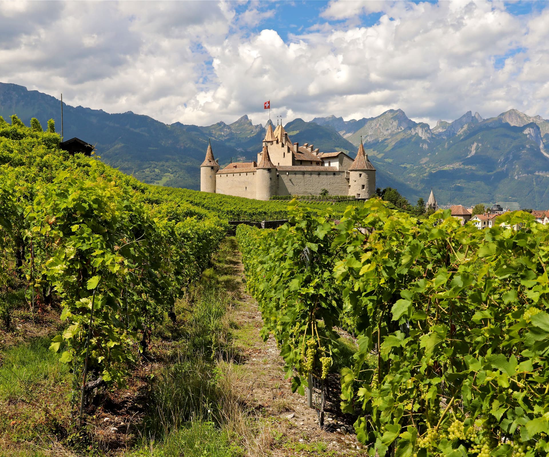 Château d'Aigle - Vignes et montagnes