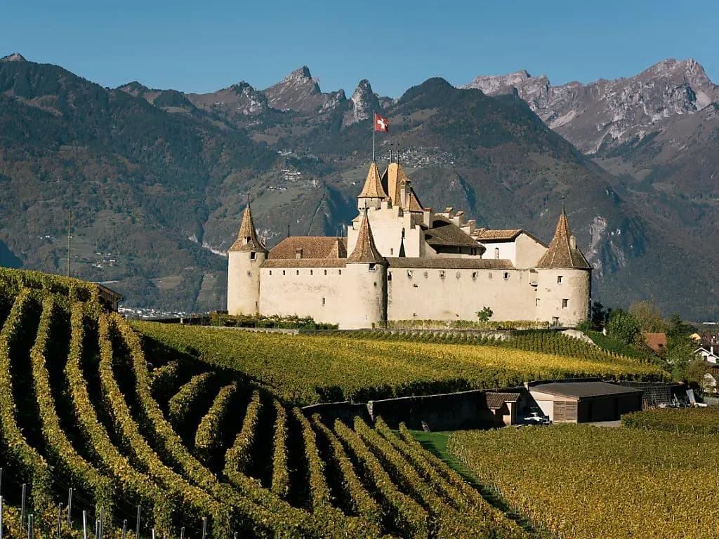 Château d'Aigle - Panorama